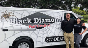 Diamond Pest Control: Leading the Way in Pest Management in Malaysia