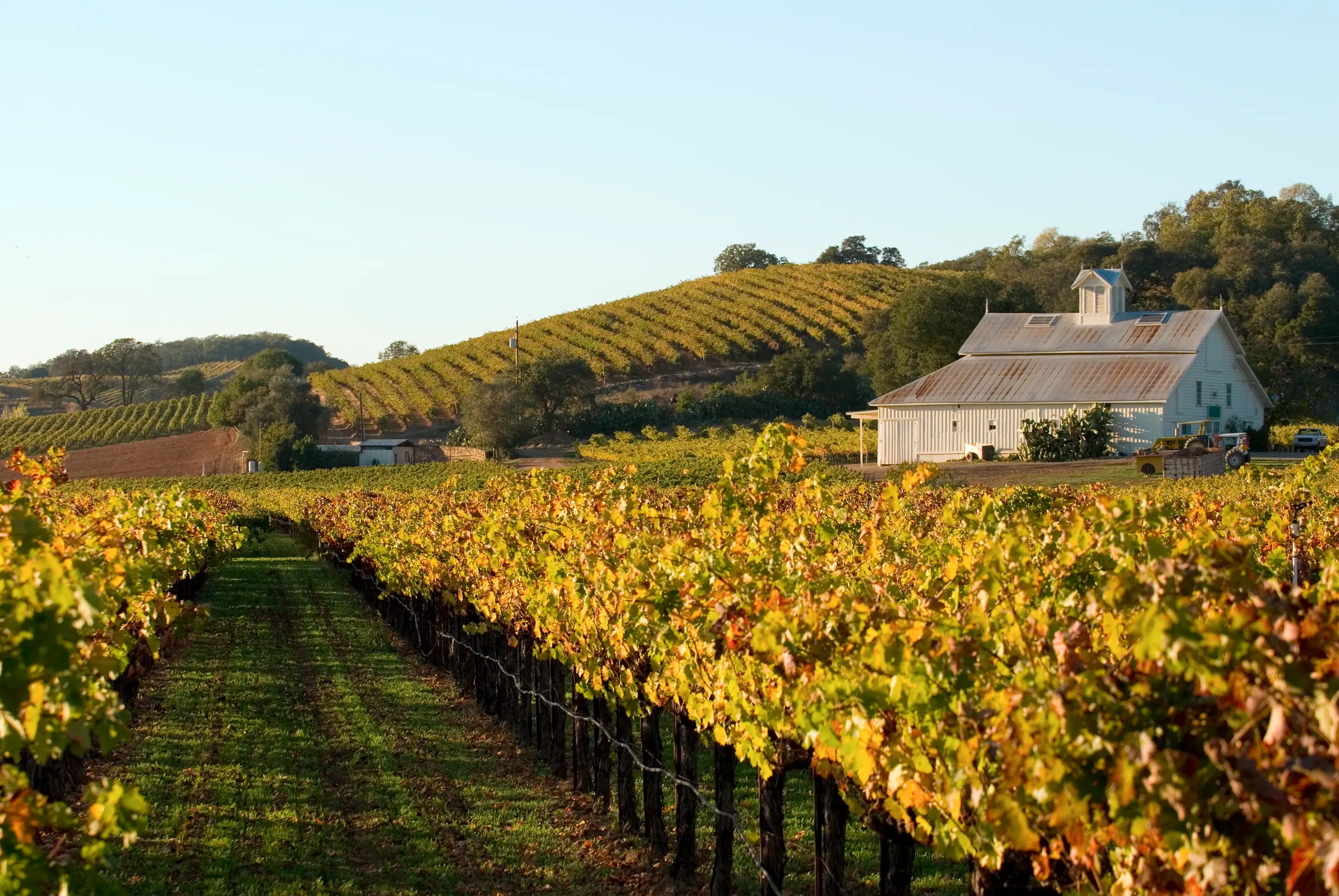 Making the Most of Life in Wine Country: Tips for Navigating Napa Valley