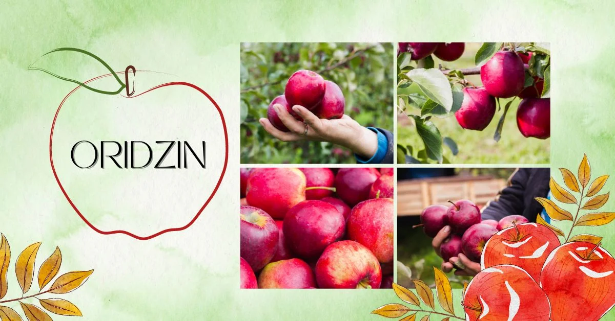 The Oridzin Effect: Daily Health and Wellness